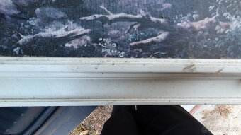 obraz olejomalba - 3