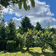 Zálesie - priestranný 5-izb.RD - ticho, zeleň - 3