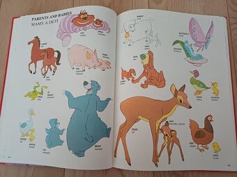 veľký obrázkový Walt Disney slovník anglicko-slovenský - 3