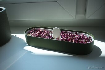 Nakličovač pre microgreens🌱 - 3