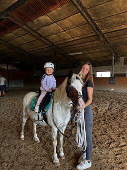 Predam pony k detom- aj do sportu. - 3