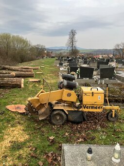 Frezovanie odstranovanie pnov - 3