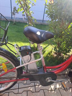 E bike Dinoti Paris - 3