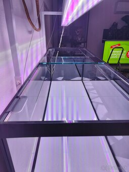 Akvarium - 3