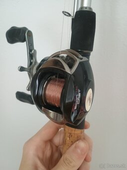 Abu Garcia venerate + ecol LH cast - 3