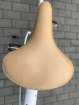 Mestsky bicykel - 3