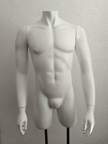 Figuríny - torzo pánske/dámske - 90 EUR/ks - 3