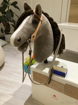 Hobby horse - 3