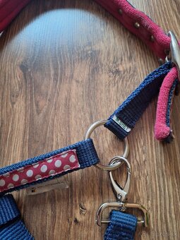 Ohlávka shetty, shetland - 3