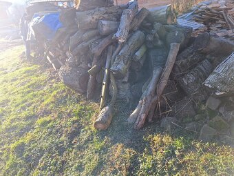 Drevo z ovocných stromov - 3