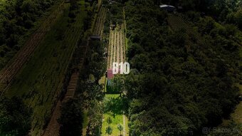 Vinica na skok od Nitry + chata - 590 m2 - 3