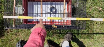 klietka pre vtáky Ferplast - 3