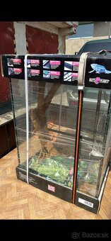 Terarium - 3