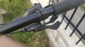 Dema WHIPPET 2024 - 3
