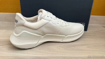 ECCO biom - 3