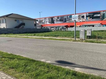 Prenajmem pozemok na predaj vianočných stromčekov🌲🌲🌲 - 3