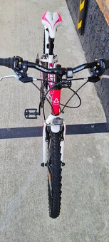 Bicykel Ctm 24" pink - 3