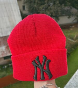 Zimná čiaoka NY - 3