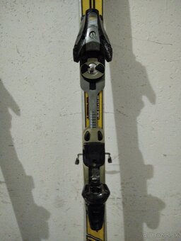 Lyže DYNAMIC + palice - 3