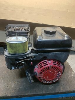 Briggs stratton - 3