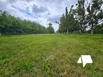Predaj veľký stavebný pozemok Mojzesovo- 3244 m2 - 3