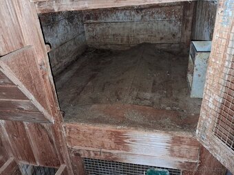 Králikáreň 6 kotercová - 3