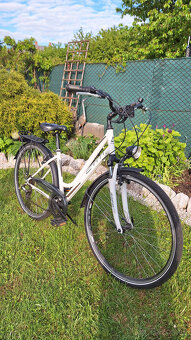 Bicykel CTM Florence - 3