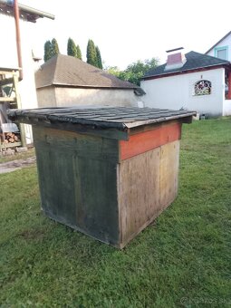 Búda pre psa - 3