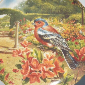 Wedgwood 2 Porcelánové taniere z 1 série - Vtáčiky - 3