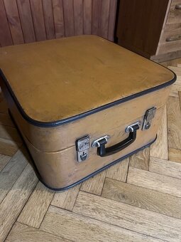 Heligonka delicia C-F - 3