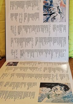 LP Joni Mitchel-Wild things runfast - 3