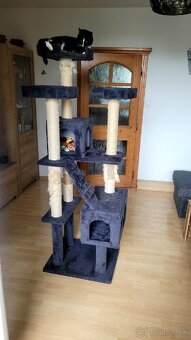 Mačací strom 181x60x50 nový stojí 152€, cena dohodou - 3