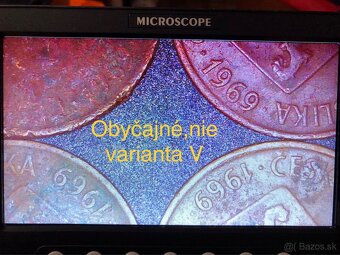 Mince (50h) - 3