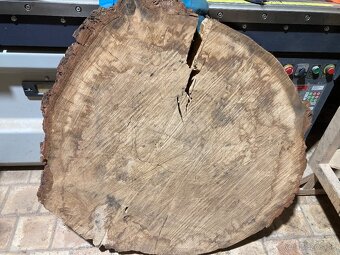 Predám vysušené koreňové výrezy /koláče - 3