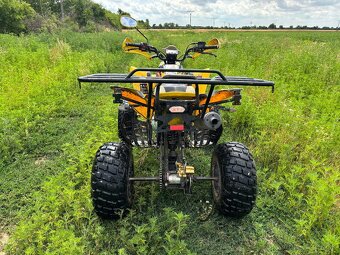 Bashan 250 - 3