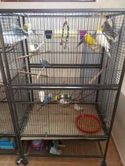 Predám klietku. - 3