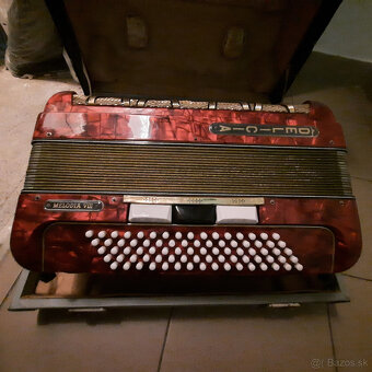 akordeón DELICIA - 3