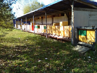 Predám včelí med - 3