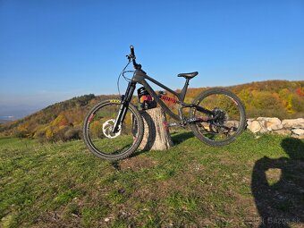 CANYON TORQUE CF 7 - 3