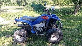 Bashant 200 - 3