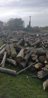 Palivové drevo - 3