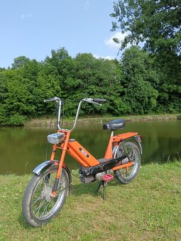 Babeta 207 - 3