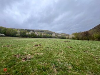 Ponúkam 11ha uceleného lesného pozemku s lúkami - 3