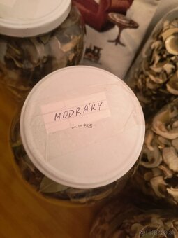Sušené hríby - 3