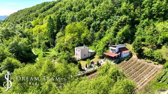 REZERVOVANÉ - Viničný dom s pozemkom 1060m2 Veľké Turovce - 3