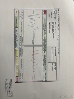 Border kólia šteniatko - 3