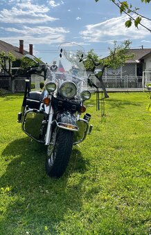 Yamaha xvs 1100 DragStar - 3