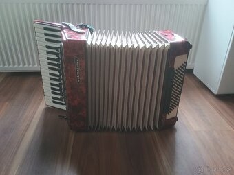 Predam akordeón - 3