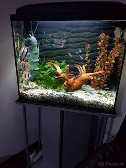 Akvárium 90l - 3