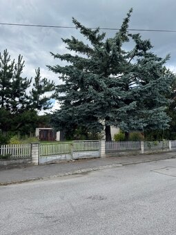Na predaj: priestranný rodinný dom s potenciálom - 3